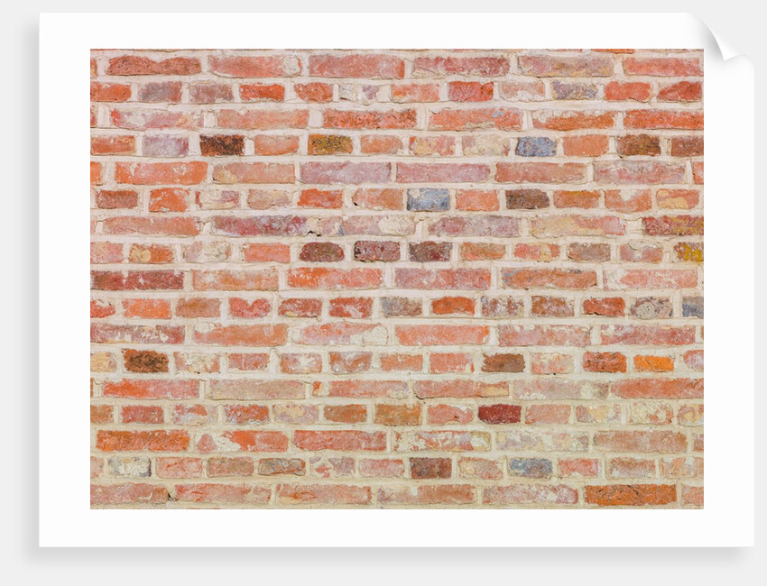 Brick Wall by Assaf Frank